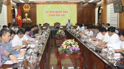 Provincial People's Committee held a meeting to deploy response work to storm No. 13