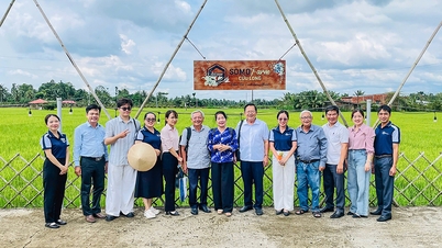Badanie i ocena dwóch typowych destynacji turystycznych w delcie Mekongu w prowincji