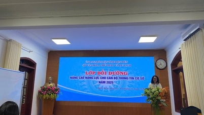 2025 میں نچلی سطح کے انفارمیشن افسران کی صلاحیت کو بہتر بنانے کے لیے تربیتی کورسز کا آغاز