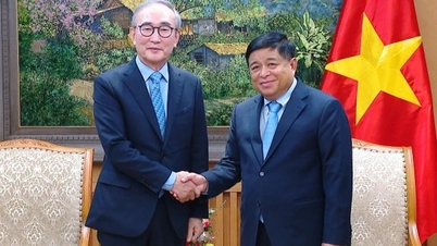 Sydkorea vill etablera ett AI-datacenter i Vietnam