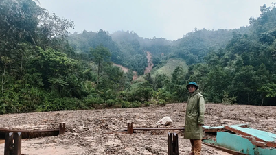 دا نانگ ۲۱۰ میلیارد دونگ ویتنام را به ۷۲ بخش و منطقه برای غلبه بر پیامدهای بلایای طبیعی اختصاص می‌دهد.