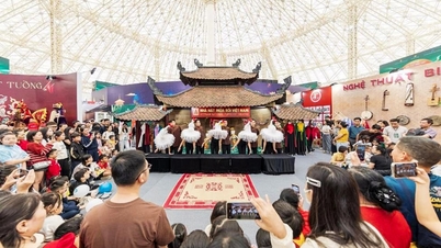 ពិសោធ "ជំនាញ" នៃរដូវស្លឹកឈើជ្រុះហាណូយ