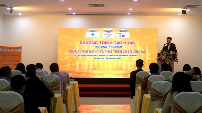 آموزش‌های دانانگ برای بهبود ظرفیت مدیریت و توسعه مراکز رشد