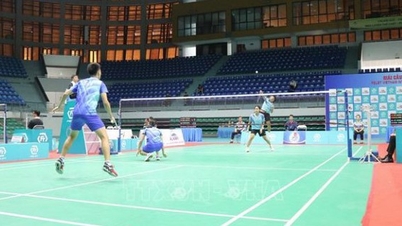 Vietnam blonk uit door twee gouden medailles te winnen op het Internationale Badmintontoernooi