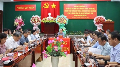 Kans om het merk Quy Nhon op de wereldtoerismekaart te zetten