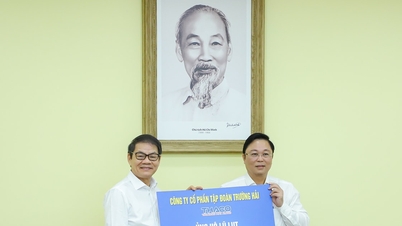 Thaco steunt 5 miljard VND om de mensen in Da Nang te helpen de gevolgen van overstromingen te boven te komen