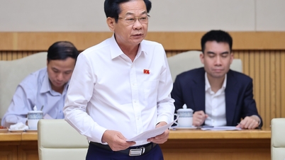 Mise en œuvre de l'organisation des unités de service public et création d'unités de service public au niveau communal