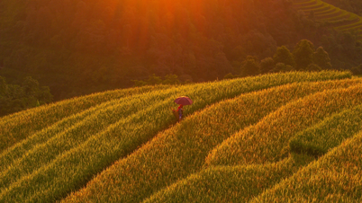 فصل طلایی در قله سام قبرس