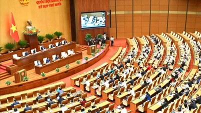 A Assembleia Nacional discutiu o projeto de documento a ser submetido ao 14º Congresso, que altera a legislação sobre o imposto de renda de pessoa física.