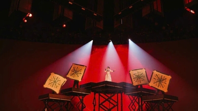 Preserving the purity of Vietnamese