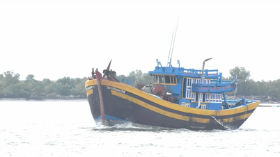 VNPT avbryter tillfälligt VMS-anslutningen från 7-11: Utlandsfiskare oroar sig för att förlora signalen