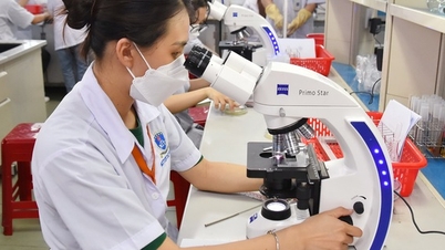 Наукова доброчесність: складно чи легко?