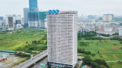 FLC wyjaśnia plan naprawy zawieszonego obrotu akcjami