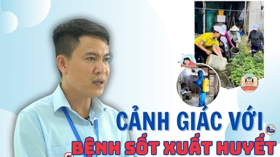 CDC Da Nang: Var uppmärksam på denguefeberepidemin efter översvämningar