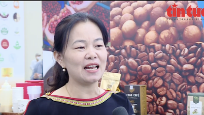 Primera Feria de Otoño – 2025: Empresas llevan las especialidades vietnamitas al mundo.