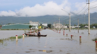 Гіа Лай терміново вживає заходів для реагування на шторм КАЛМАЕГІ та повені