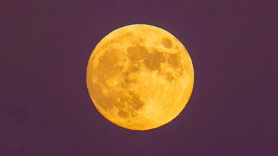 Der Supermond Biber am 5. November, der größte Vollmond des Jahres, sorgt für Aufsehen.