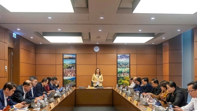 Promoting decentralization and facilitating disbursement of public investment capital