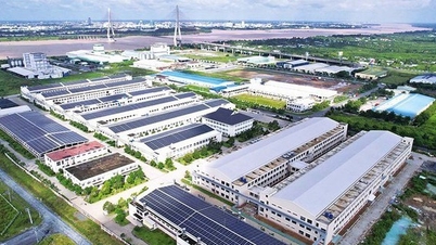 Vietnams miljöindustri: Ett strategiskt steg i resan mot en grönare ekonomi