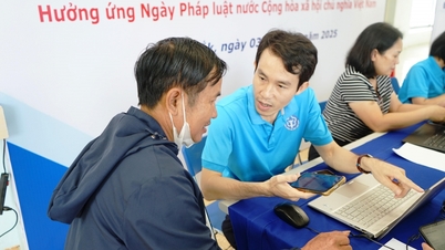 사회보험, 실업보험, 건강보험 등 정책 및 법률 컨설팅