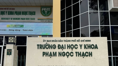 Pham Ngoc Thach University of Medicines team för vetenskaplig integritet borde ha fler personer utanför skolan.