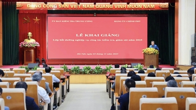 2025 میں معائنہ اور نگرانی کے کام پر گہری پیشہ ورانہ تربیت