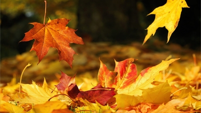 November - di mana cinta kembali