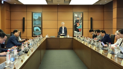 위험 관리 도구와 함께 권한의 분산화 및 위임을 촉진합니다.