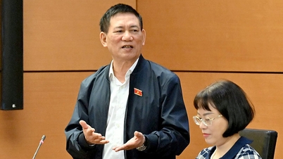 Vicepremier Ho Duc Phoc legt uit dat verzekeringen 'makkelijk te storten zijn, maar heel moeilijk op te nemen'