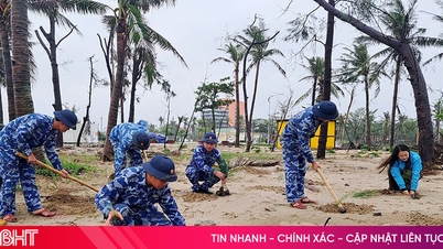 Plantering av 10 000 casuarinaträd för att förhindra kusterosion vid turistområdet Xuan Thanh