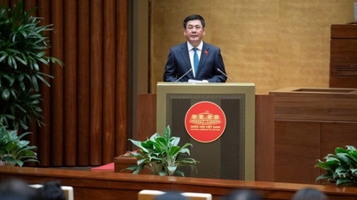 ই-কমার্সের উপর প্রতিষ্ঠান এবং আইনি নীতিমালা নিখুঁত করা