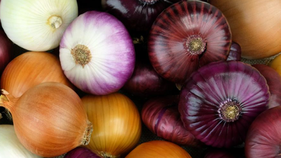 माता-पिता को ऑनलाइन फैल रहे 'प्याज के इलाज' पर विश्वास नहीं करना चाहिए