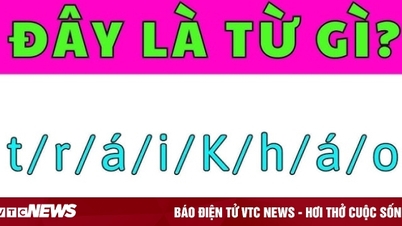 चाहे आप कितने भी होशियार क्यों न हों, आपको इस वियतनामी राजा पहेली में हार माननी ही पड़ेगी।