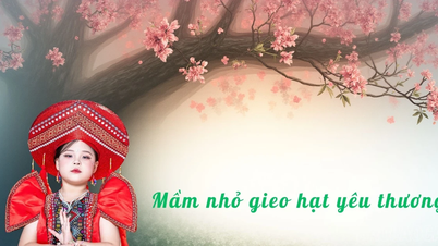 Mầm nhỏ gieo hạt yêu thương