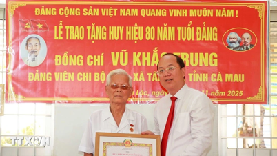 Ca Mau: Utdelning av 80-åriga partimedlemsmärken till äldre partimedlemmar