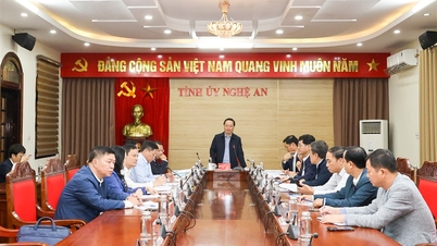 The Standing Committee of the Provincial Party Committee met to discuss a number of contents within its authority.