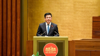 Ministr Nguyen Hong Dien předkládá Národnímu shromáždění zákon o elektronickém obchodování