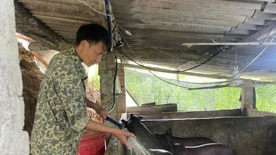 Τα Χαν - όταν οι άνθρωποι γράφουν προληπτικά αιτήσεις για να ξεφύγουν από τη φτώχεια