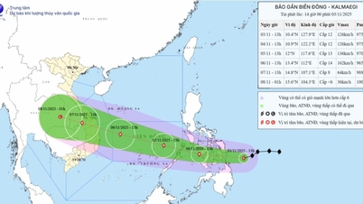 Provincie Nghe An stuurt telegram om te reageren op storm nr. 13