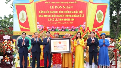 Ninh Binh: Co Le Pagoda کے لیے قومی یادگار درجہ بندی کا سرٹیفکیٹ حاصل کرنے کی تقریب