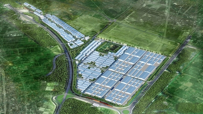 Hoa Phat investește în Parcul Industrial Ly Thuong Kiet, cu o suprafață de 235 de hectare, în Hung Yen