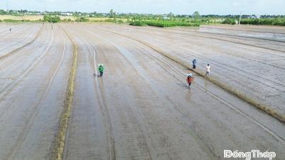 درس ۱: کشاورزی نقش حمایتی خود را تثبیت می‌کند