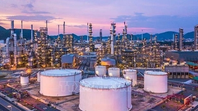 OPEC+, 2026'nın ilk çeyreğinde üretim artışını askıya almayı kabul etti