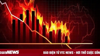 Indicele VN a pierdut aproape 23 de puncte, investitorii străini nu au oprit vânzările nete