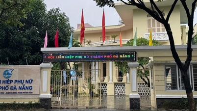 Prioritas harus diberikan pada penggunaan rumah dan tanah di No. 1 Pasteur untuk melayani sektor budaya.