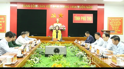 ความคิดเห็นเกี่ยวกับการต่อต้านการลักลอบขนของ การฉ้อโกงทางการค้า และการจัดการคลัสเตอร์อุตสาหกรรม