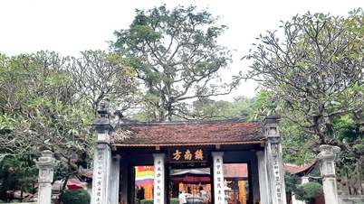 บ้านชุมชนคิมเลียน: ค้นพบหนึ่งในสี่เมืองของทังลอง