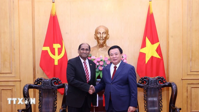 Vietnam posiluje spolupráci se Singapurem a Irskem v oblasti vzdělávání a podpory úředníků