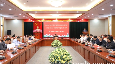 Das Büro des Provinzvolkskomitees organisierte im November 2025 die politische Aktivität unter der Flagge.