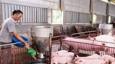 Grüne Ausrichtung durch biologische Landwirtschaft